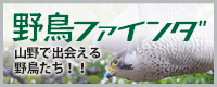 野鳥ファインダー