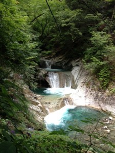 七ツ釜五段の滝。この滝へつながる支流を遡行します。